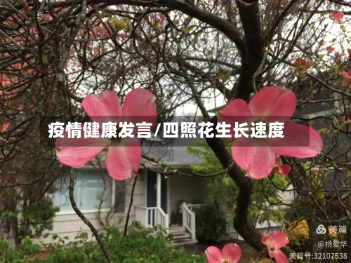 疫情健康发言/四照花生长速度