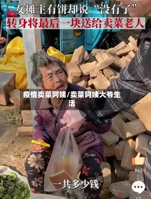 疫情卖菜阿姨/卖菜阿姨大爷生活