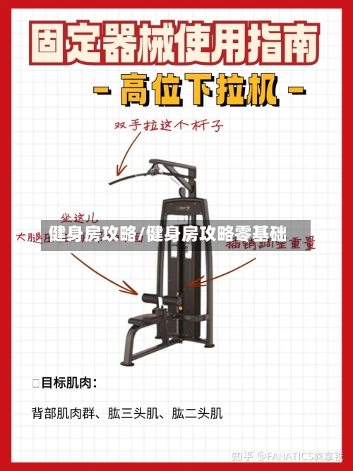 健身房攻略/健身房攻略零基础-第2张图片