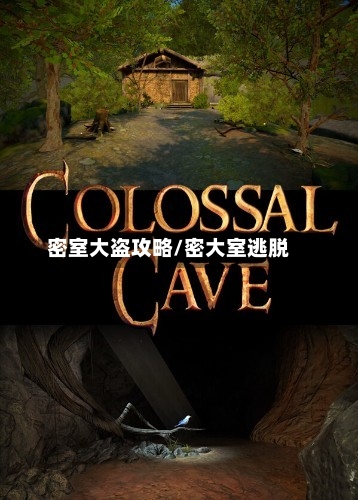 密室大盗攻略/密大室逃脱-第2张图片