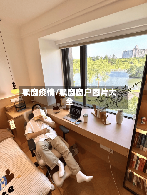 飘窗疫情/飘窗窗户图片大全