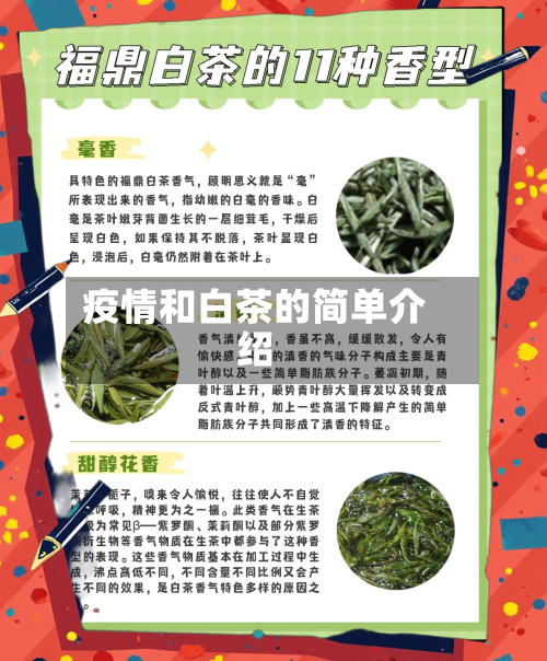 疫情和白茶的简单介绍-第2张图片