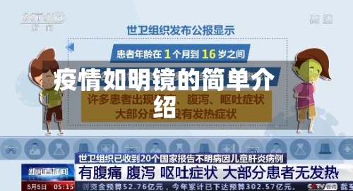 疫情如明镜的简单介绍