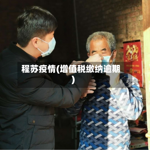 程苏疫情(增值税缴纳逾期)-第2张图片