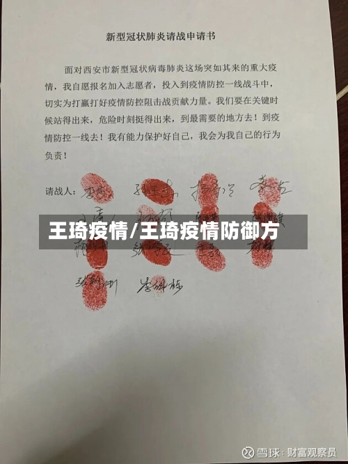 王琦疫情/王琦疫情防御方-第2张图片