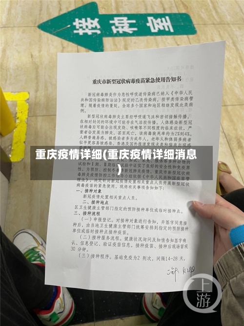 重庆疫情详细(重庆疫情详细消息)-第2张图片