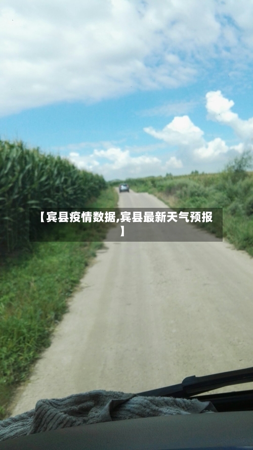 【宾县疫情数据,宾县最新天气预报】-第2张图片