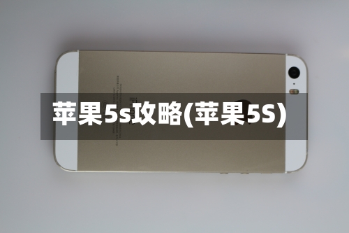 苹果5s攻略(苹果5S)-第2张图片
