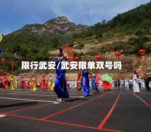 限行武安/武安限单双号吗