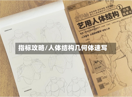 指标攻略/人体结构几何体速写