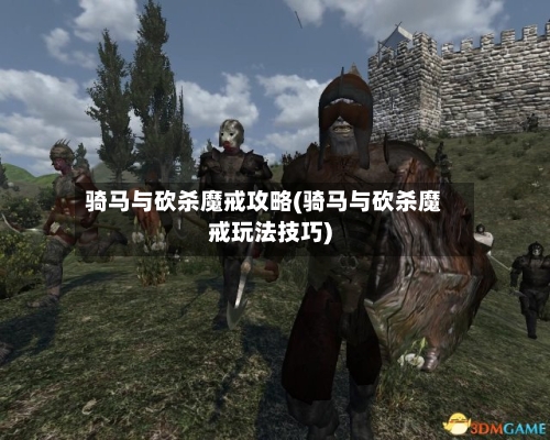 骑马与砍杀魔戒攻略(骑马与砍杀魔戒玩法技巧)
