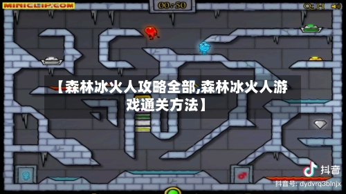 【森林冰火人攻略全部,森林冰火人游戏通关方法】-第2张图片