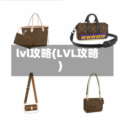 lvl攻略(LVL攻略)