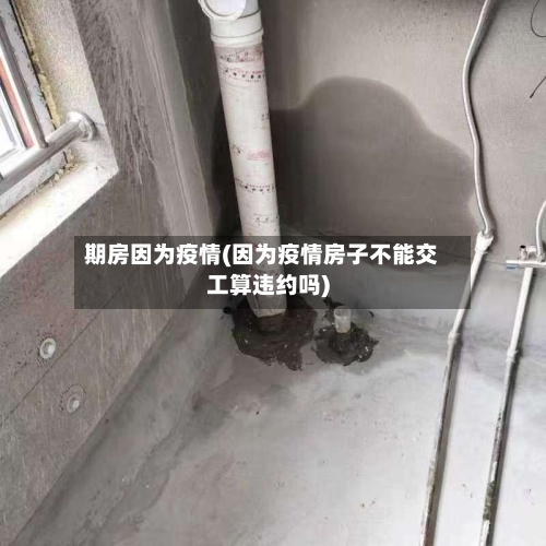 期房因为疫情(因为疫情房子不能交工算违约吗)-第2张图片