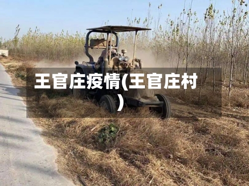 王官庄疫情(王官庄村)-第2张图片