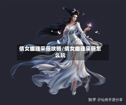 倩女幽魂采薇攻略/倩女幽魂采薇怎么玩