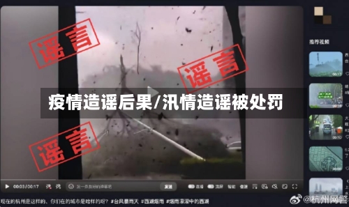 疫情造谣后果/汛情造谣被处罚