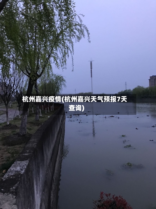 杭州嘉兴疫情(杭州嘉兴天气预报7天查询)-第2张图片