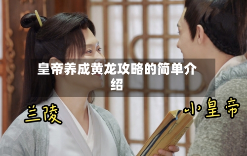 皇帝养成黄龙攻略的简单介绍