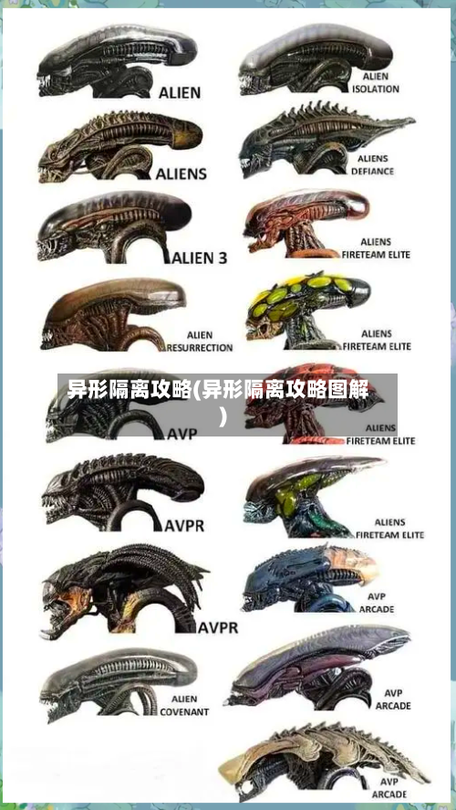 异形隔离攻略(异形隔离攻略图解)