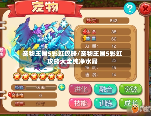 宠物王国5彩虹攻略/宠物王国5彩虹攻略大全纯净水晶