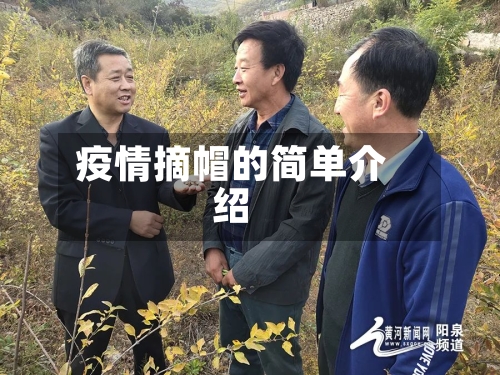 疫情摘帽的简单介绍-第2张图片