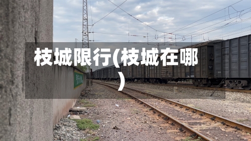 枝城限行(枝城在哪)-第2张图片