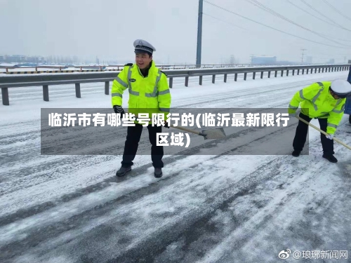 临沂市有哪些号限行的(临沂最新限行区域)-第3张图片