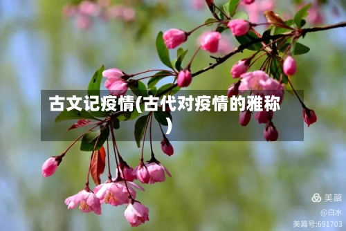 古文记疫情(古代对疫情的雅称)-第2张图片