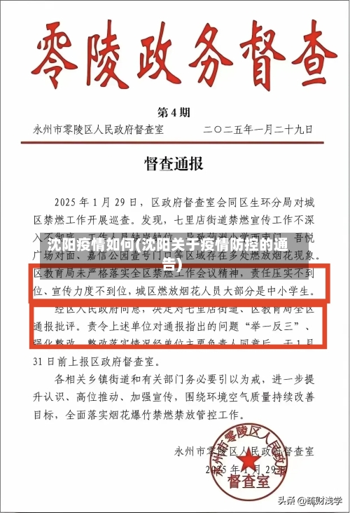 沈阳疫情如何(沈阳关于疫情防控的通告)-第2张图片