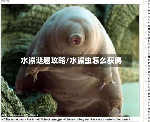 水熊谜题攻略/水熊虫怎么获得-第3张图片