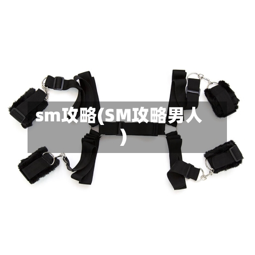 sm攻略(SM攻略男人)