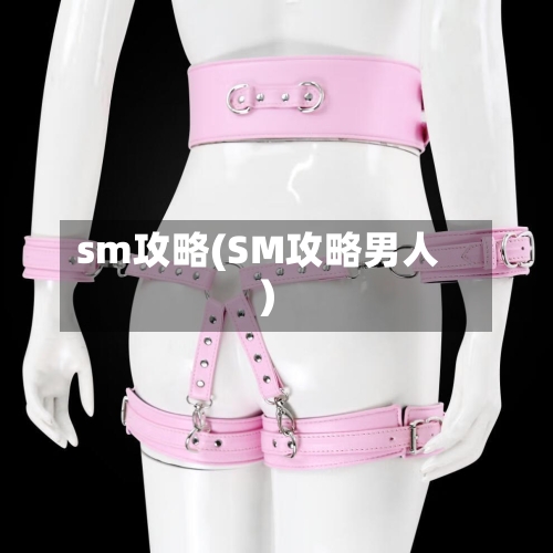 sm攻略(SM攻略男人)-第2张图片