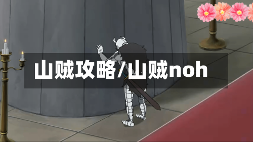 山贼攻略/山贼noh