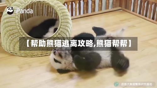 【帮助熊猫逃离攻略,熊猫帮帮】