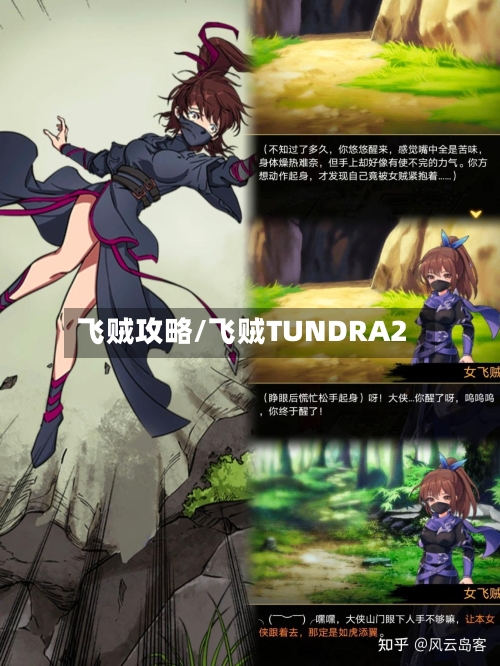 飞贼攻略/飞贼TUNDRA2