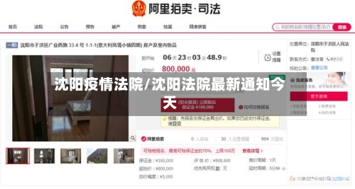 沈阳疫情法院/沈阳法院最新通知今天-第3张图片
