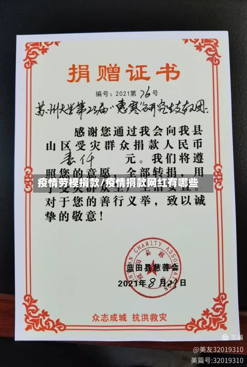 疫情劳模捐款/疫情捐款网红有哪些