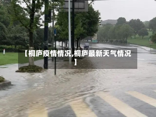 【桐庐疫情情况,桐庐最新天气情况】-第2张图片