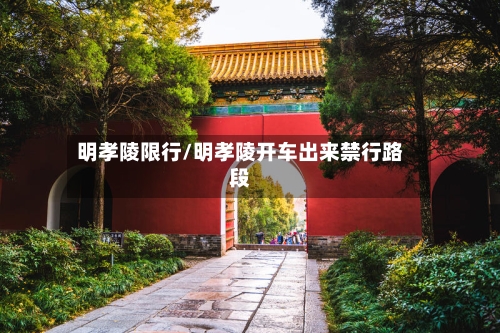 明孝陵限行/明孝陵开车出来禁行路段