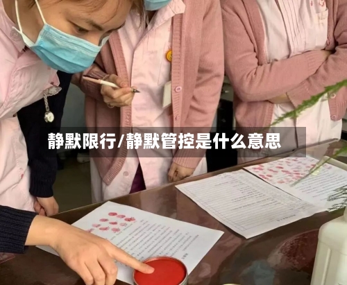 静默限行/静默管控是什么意思