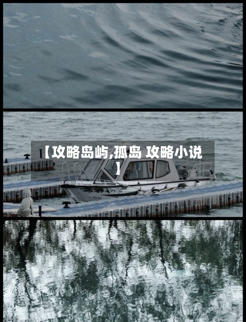 【攻略岛屿,孤岛 攻略小说】-第2张图片