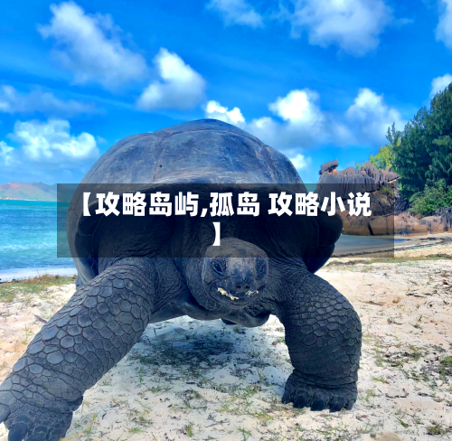 【攻略岛屿,孤岛 攻略小说】-第3张图片