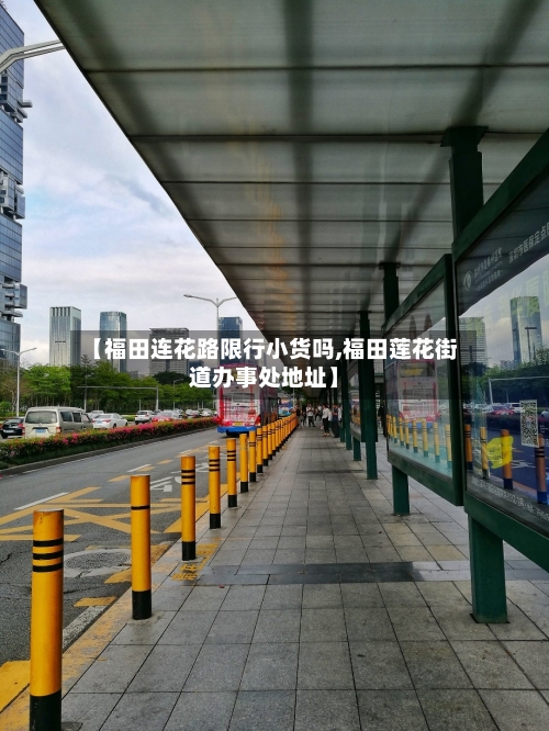 【福田连花路限行小货吗,福田莲花街道办事处地址】