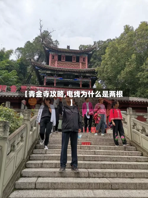 【青金寺攻略,电线为什么是两根】