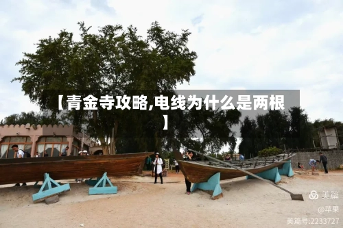 【青金寺攻略,电线为什么是两根】-第2张图片