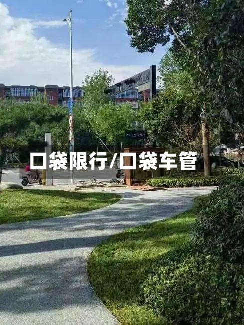 口袋限行/口袋车管