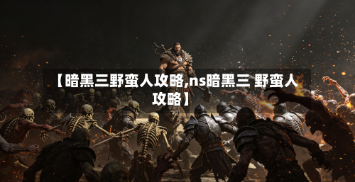 【暗黑三野蛮人攻略,ns暗黑三 野蛮人攻略】