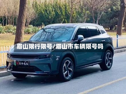 眉山限行限号/眉山市车辆限号吗-第2张图片