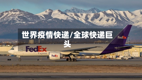 世界疫情快递/全球快递巨头-第2张图片